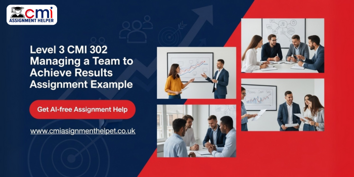 LEVEL 3 CMI 302 Managing a Team to Achieve Results Assignment Example